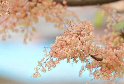 ​讲给女朋友的睡前故事短篇（女生爱听的睡前故事）