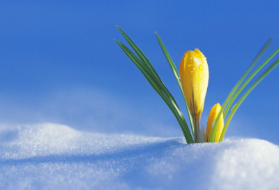 ​杞人忧天意思是什么（杞人忧天故事的寓意）