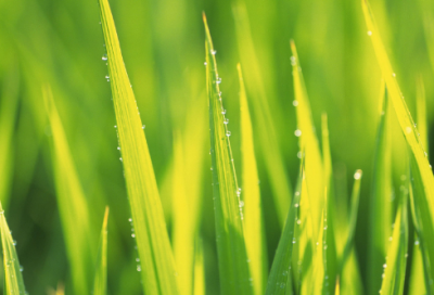 ​给男朋友讲的睡前故事（给对象讲的睡前故事分享）