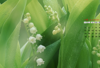 ​中国经典童话故事有哪些（中国传统童话故事大全）