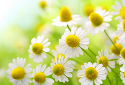 ​韦编三绝的成语故事（韦编三绝的故事主要内容）