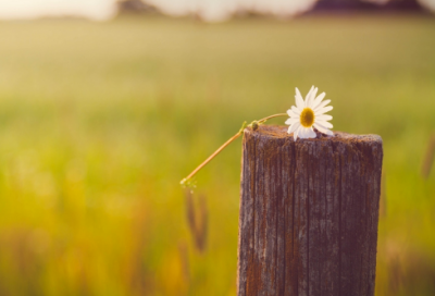 ​关于刻舟求剑寓言故事（刻舟求剑的寓言故事的出处）