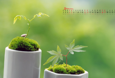 ​正能量的故事简短和感想（哲理小故事及感悟）