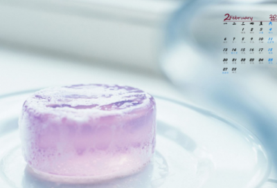 ​岐路亡羊的故事寓意（歧路亡羊的文义和寓意）