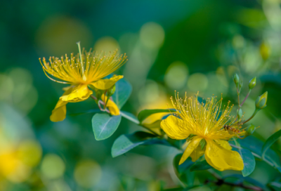 ​生活为题的高中作文范文