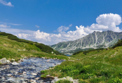 ​小白兔故事睡前故事（小白兔的故事儿童睡前故事）