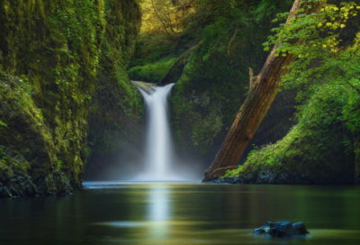 ​亡羊补牢的故事（20个经典寓言故事）