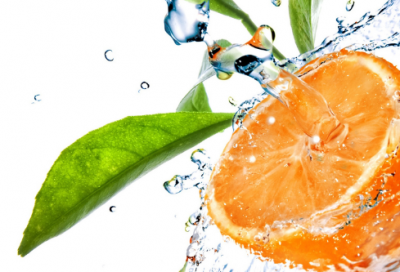 ​克绍箕裘是什么意思（克绍箕裘的故事解释）