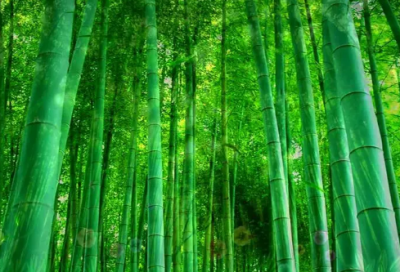 ​儿童科学故事有哪些（简短有趣的科学小故事）