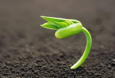 ​坚持的故事简短（坚持的故事简短事例）