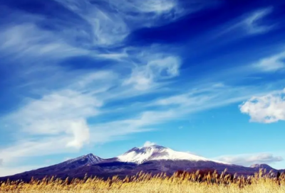 ​狼来了的故事寓意（伊索寓言狼来了）