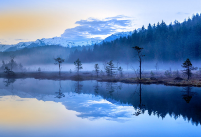 ​农夫与蛇的故事（寓言故事农夫与蛇）