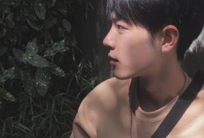 ​成语故事囊萤映雪（囊萤映雪的故事和含义）