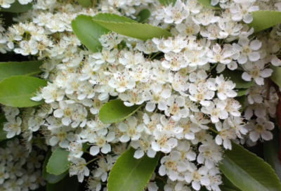 ​讳疾忌医的故事（讳疾忌医的寓言和寓意）