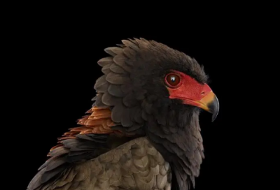 ​365个故事在线读