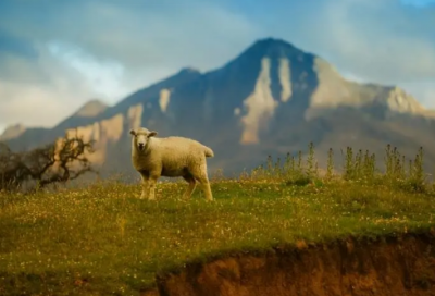 ​班门弄斧的故事（班门弄斧的寓言故事原文）