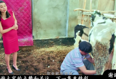 ​狐假虎威什么意思（虎假虎威寓言故事成语）