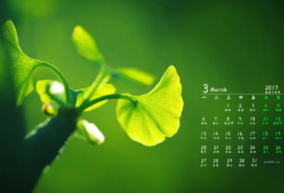 ​给孩子的虎年祝福语-50句