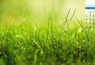 ​高中随笔作文范文