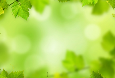 ​蜡笔小新语录（蜡笔小新的人生格言）