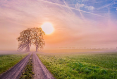 ​描写跳舞的作文范文精选