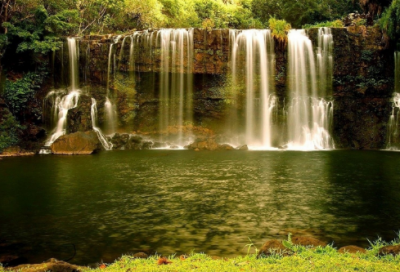 ​悯农作者是谁（悯农作者李绅简介）