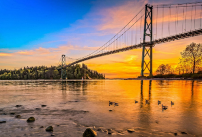 ​儒林外史简介300字（儒林外史内容概括简洁）