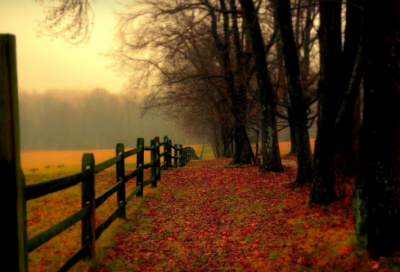 ​写成长的作文题目（成长感悟有创意的题目）