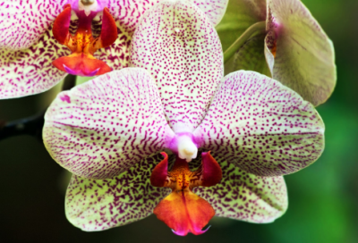 ​行动英雄作文范文