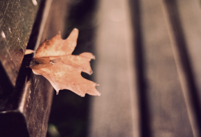 ​军训收获与感悟800字（军训的心得体会）