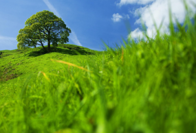 ​2000字检讨书违反纪律（学生认错万能检讨书）