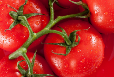 ​写心里话的作文范文