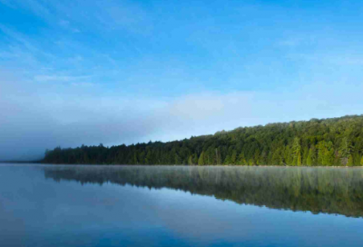 ​秋天的颜色作文500字（秋的色彩优秀作文）