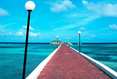 ​向日葵怎么写一段话（向日葵的外形和特点描写）