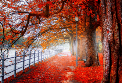 ​老人与海主要内容是什么（老人与海的感悟和启示）