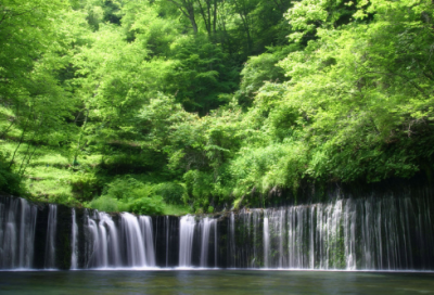 ​工作职场座右铭有哪些（努力工作座右铭励志简短）