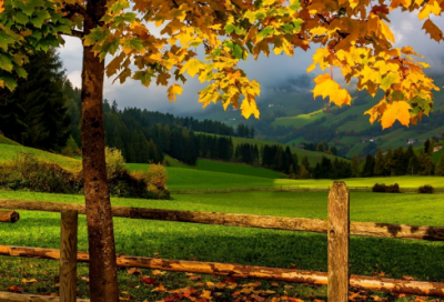 ​大雨倾盆的意思是什么（大雨倾盆的意思和造句）