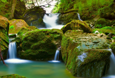 ​夜游宫记梦寄师伯浑赏析（陆游夜游宫记梦赏析）