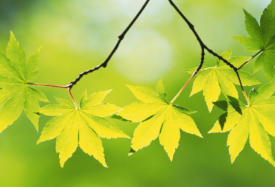 ​坚守话题作文范文