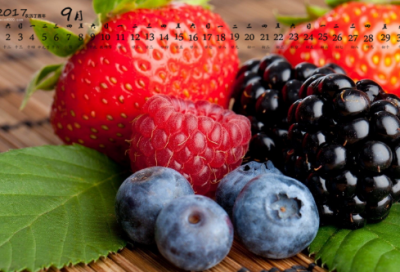 ​大学英语优秀作文范文