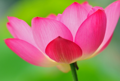 ​精美散文欣赏精选（徐志摩经典散文分享）