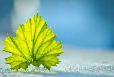 ​批改作文随笔范文