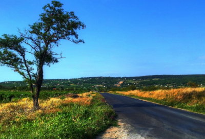 ​人力行政经理的岗位职责（行政人事工作内容）