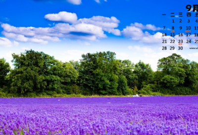 ​周末问候语给客户简短幽默（一句话让客户主动找你）