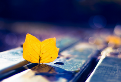 ​西热力江怒批CBA球员浪费水（对浪费水的行为要进行把控）