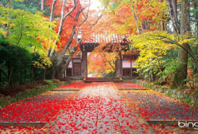 ​踏莎行欧阳修原文（踏莎行原文及赏析）