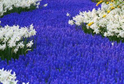 ​思念的味道作文范文