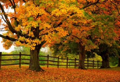 ​描写不开心的一天的作文范文