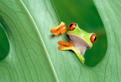 ​坚持的力量作文（有一种力量叫坚持作文800字）