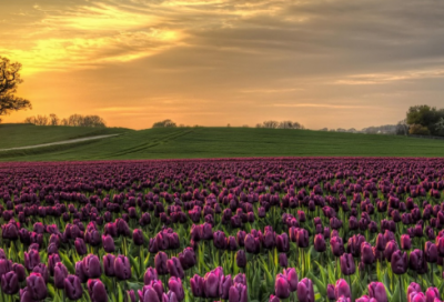 ​心灵的港湾作文范文